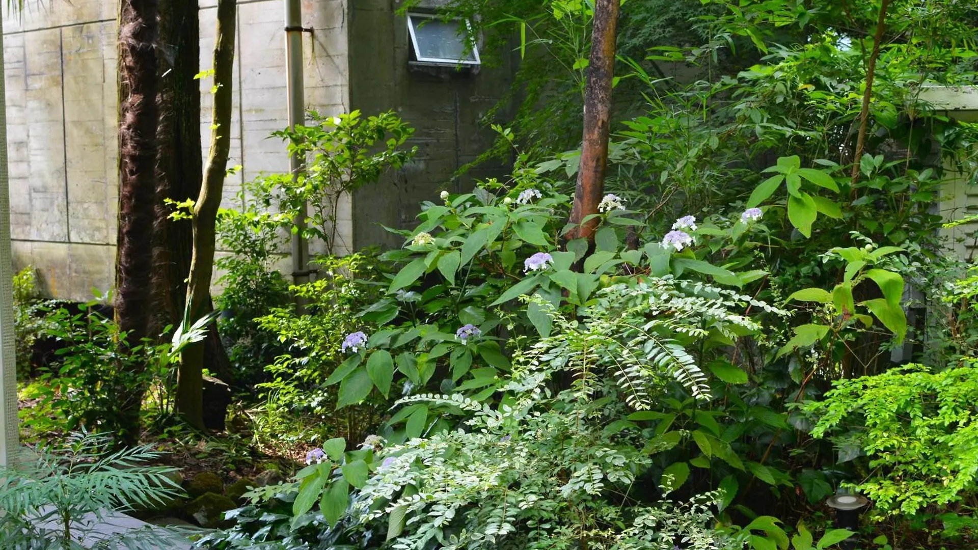 Hotel Hakone Mori No Yado